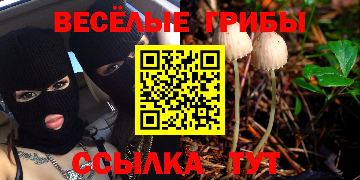 Галлюциногенные грибы GOLDEN TEACHER  Псилоцибиновые грибы Cubensis  Вход с VPN  Нурлат 