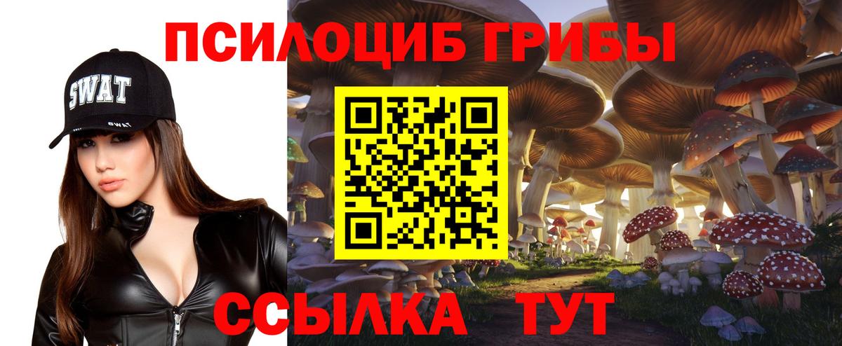 Псилоцибиновые грибы мицелий Нурлат